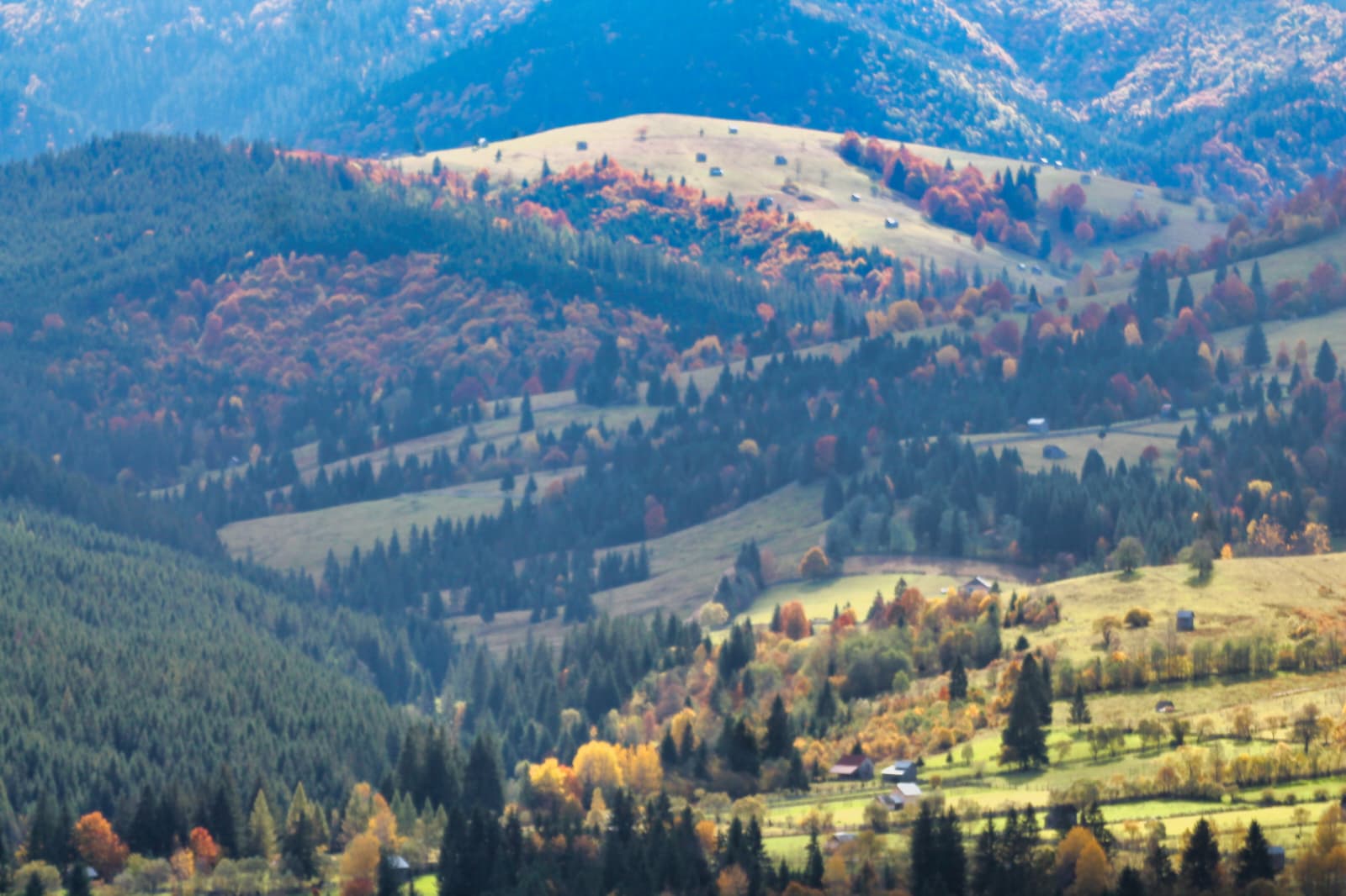 Călătorie culturală și în natură în Bucovina