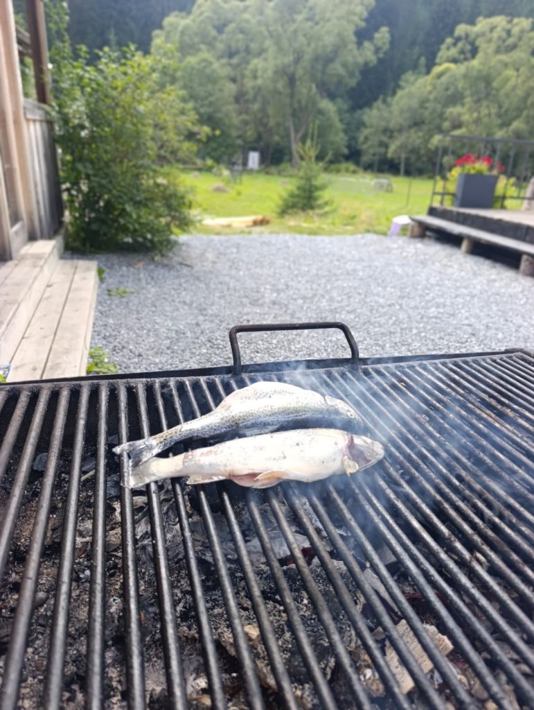 Păstrăv proaspăt pregătit pe grătar
